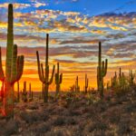 Arizona