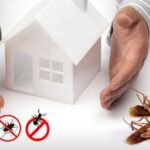 Pest Proofing for Your Home