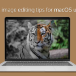 Image Editing